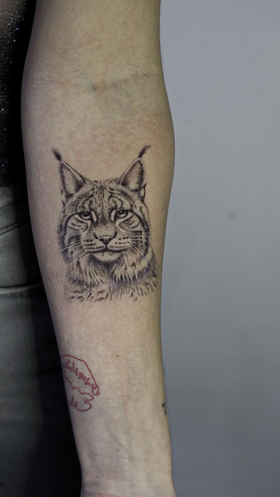 Tatuaje de un lince realizado en línea fina sobre un brazo